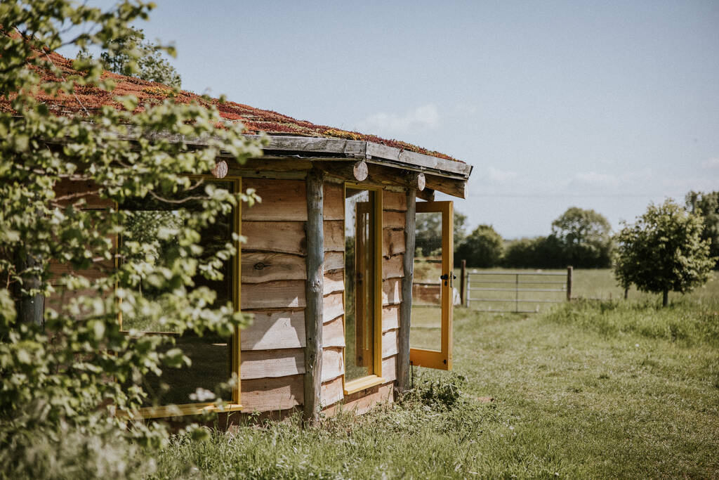 The programs featured image